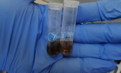 上海凈信高通量研磨儀能否助力蟲(chóng)媒病毒研究實(shí)驗(yàn)？