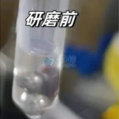 必看！全自動浸入式液氮冷凍研磨儀高效研磨小鼠肝臟提取DNA實操指南