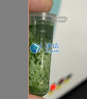 冷凍研磨儀在對甘蔗葉片提取DNA實驗中研磨樣本效果如何？