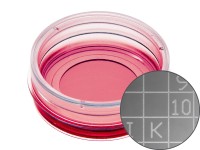 易必迪ibidi 細(xì)胞定位格子培養(yǎng)皿μ-Dish 35 mm high， glass bottom Grid-500