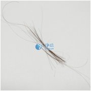 上海凈信研磨頭發(fā)樣品新突破！快速鑒定疑犯是否吸毒